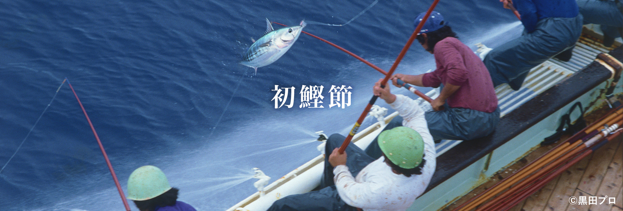 初鰹節