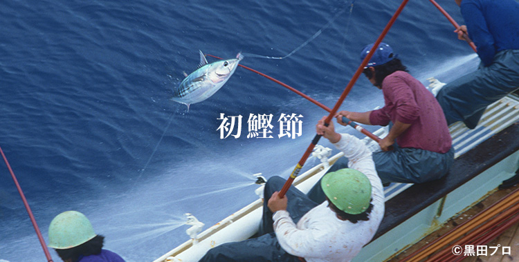 初鰹節