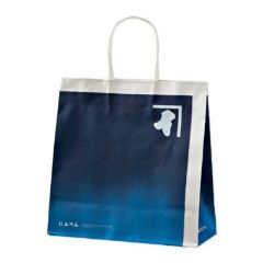 紙袋　イメージ