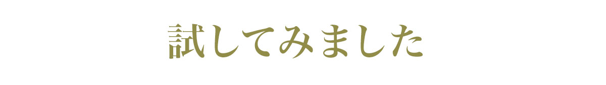 試してみました