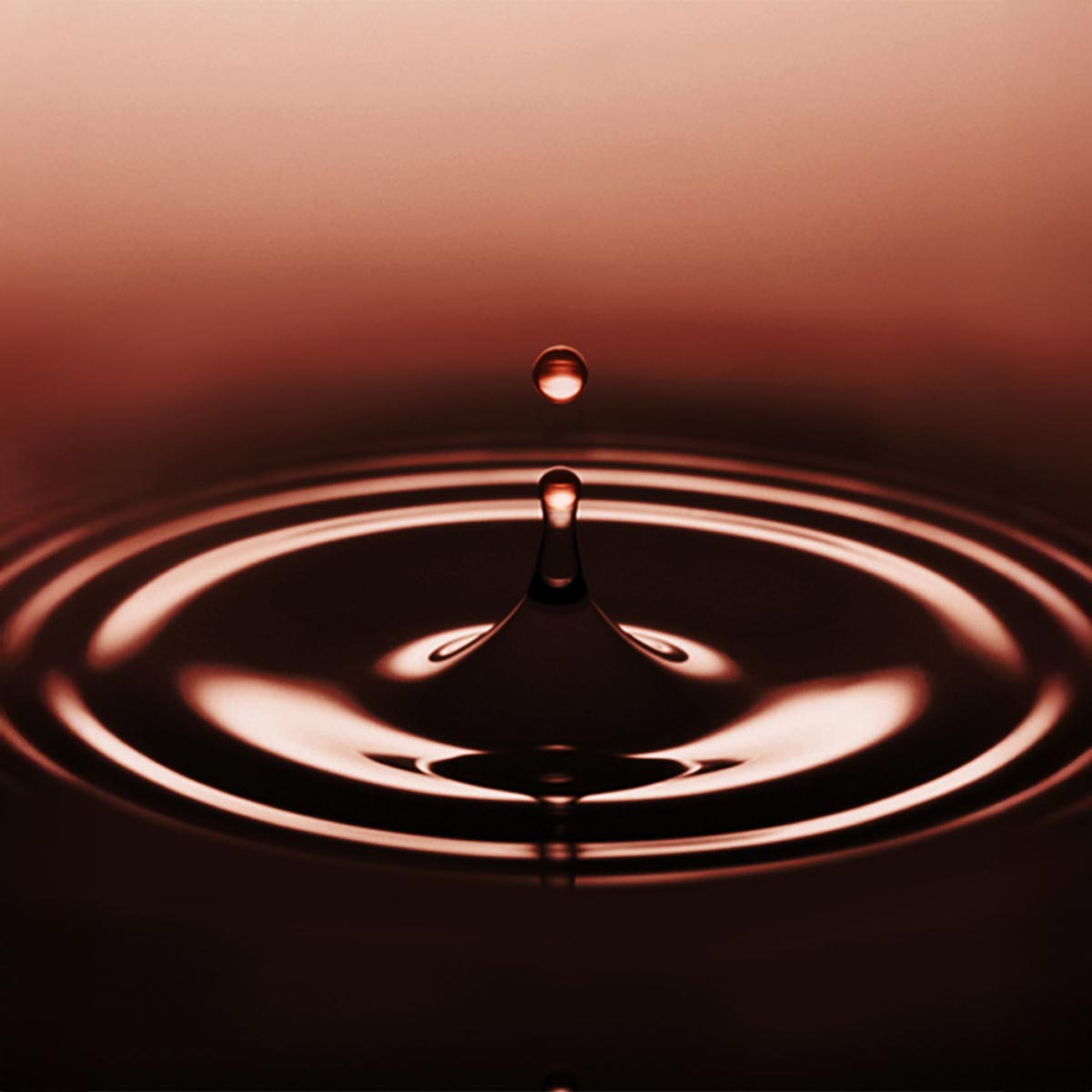 本醸造有機醤油を贅沢に100％使用：有機栽培の大豆と小麦を使用し、じっくり仕込んだ「本醸造有機醤油」のみを採用。角のないまろやかな風味と豊かな香りが、すき焼き全体の味わいを上品に底上げします。